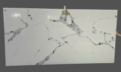 CALACATTA TTN004