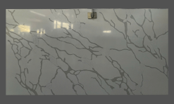 CALACATTA TTN005