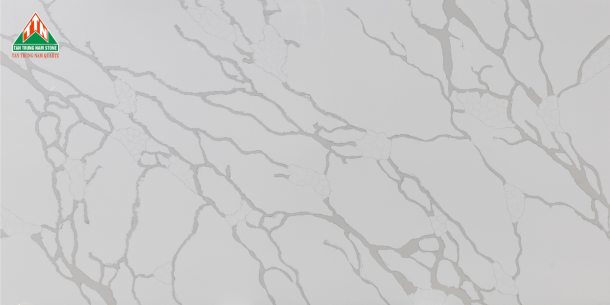CALACATTA TTN005
