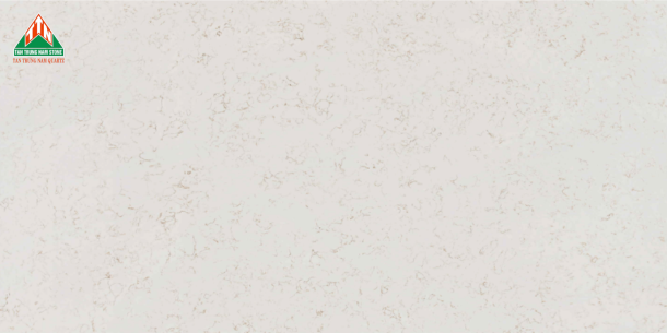 CARRARA TTN205