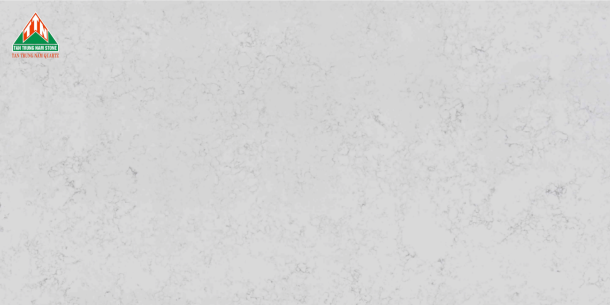 CARRARA TTN206