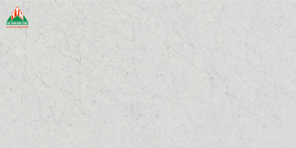 CALACATTA TTN101
