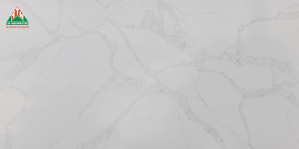 CALACATTA TTN003