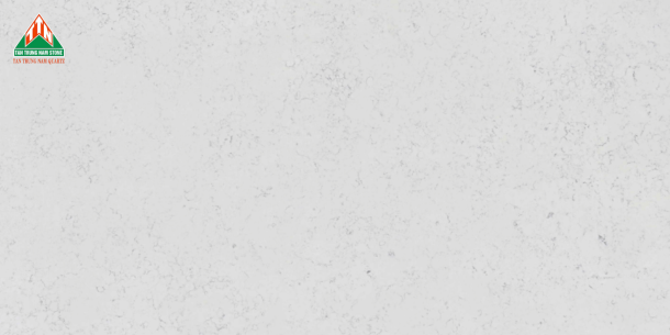 CARRARA TTN203