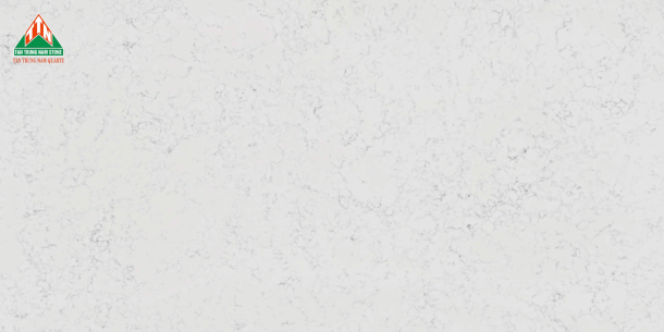 CARRARA TTN202