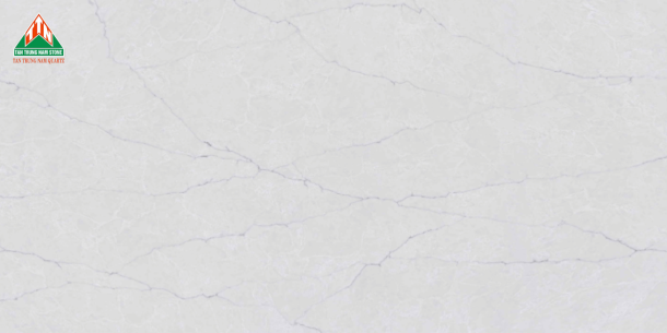 CALACATTA TTN120