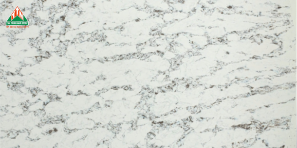 CARRARA TTN210