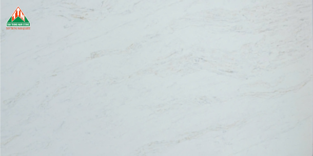 CARRARA Q9251