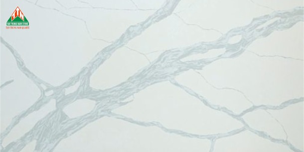 CALACATTA TTN126