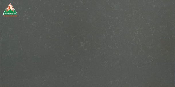CARRARA TTN209