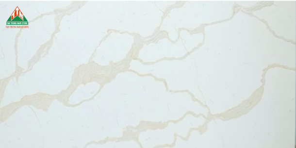 CALACATTA TTN127