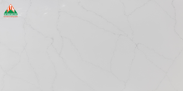 CALACATTA TTN007