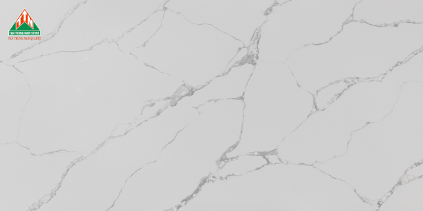 CALACATTA TTN008