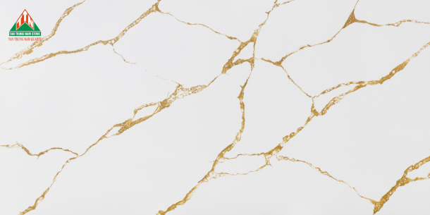 CALACATTA TTN009